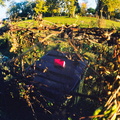 Bible on Trash Can